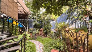 Un jardín con un sendero adoquinado, plantas en macetas y una valla de bambú.