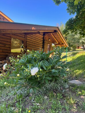 Exterior detail - Serenity Lakeview - Cozy cabin in Boswell with access to the lake. Pet friendly! (Boswell)