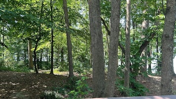 A forested area with a wooden deck.