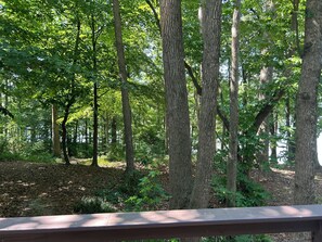 A forested area with a wooden deck. - Adorable 3-bedroom experience on Lake Hartwell with great access to nature (Lavonia)