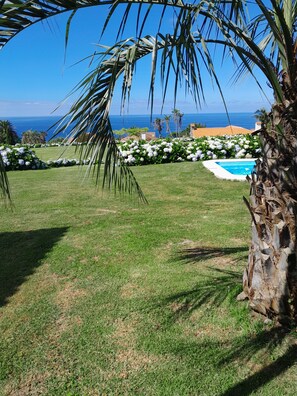 A well-maintained lawn with a swimming pool, palm trees, and a view of the ocean.