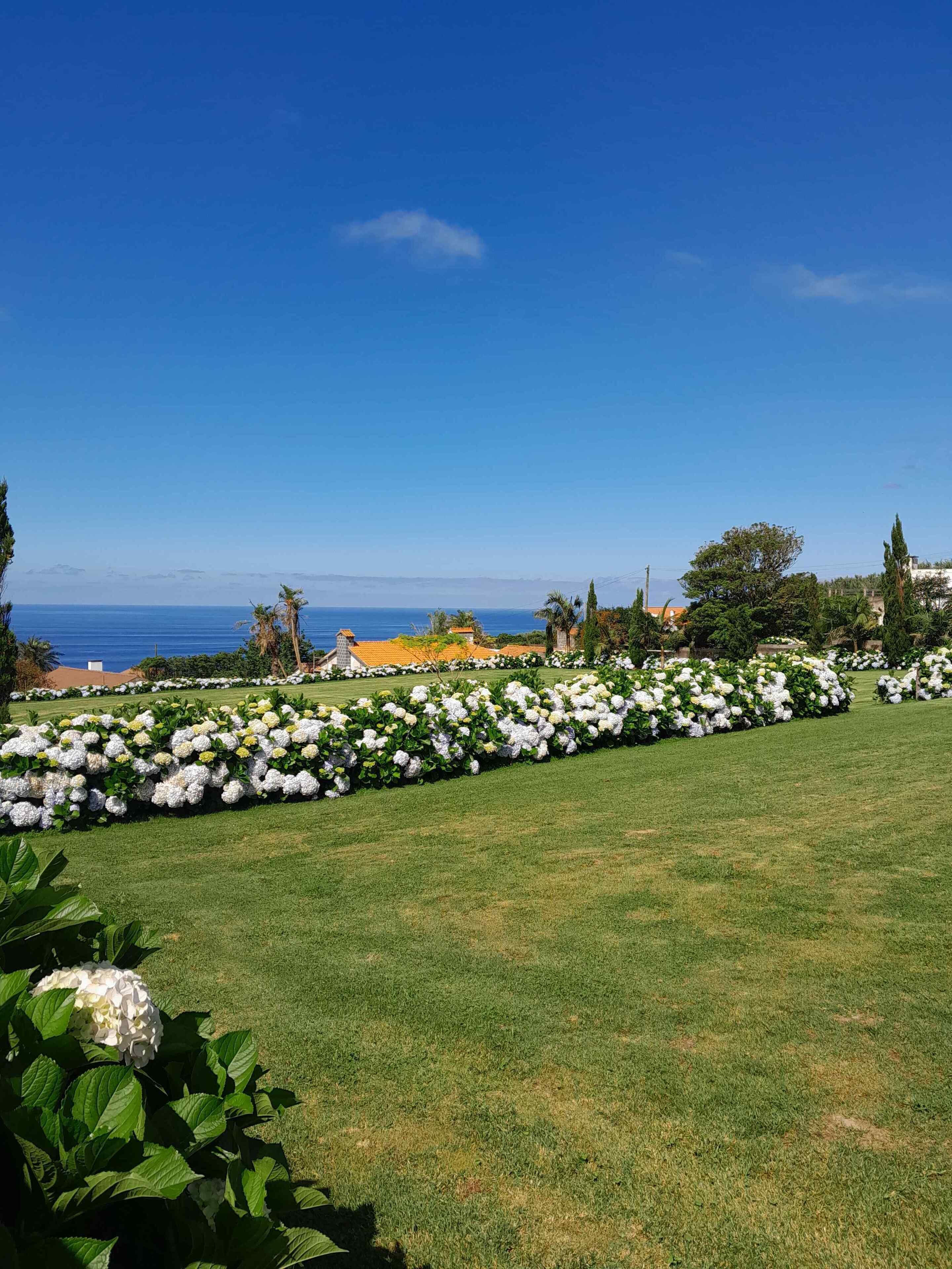 Une pelouse bien entretenue, bordée d’une rangée de fleurs blanches, un ciel bleu dégagé et une vue lointaine sur l’océan.