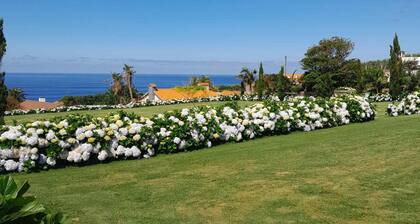 AHR-Casa do Canto 1, gorgeous apartment garden pool panoramic sea view AL178