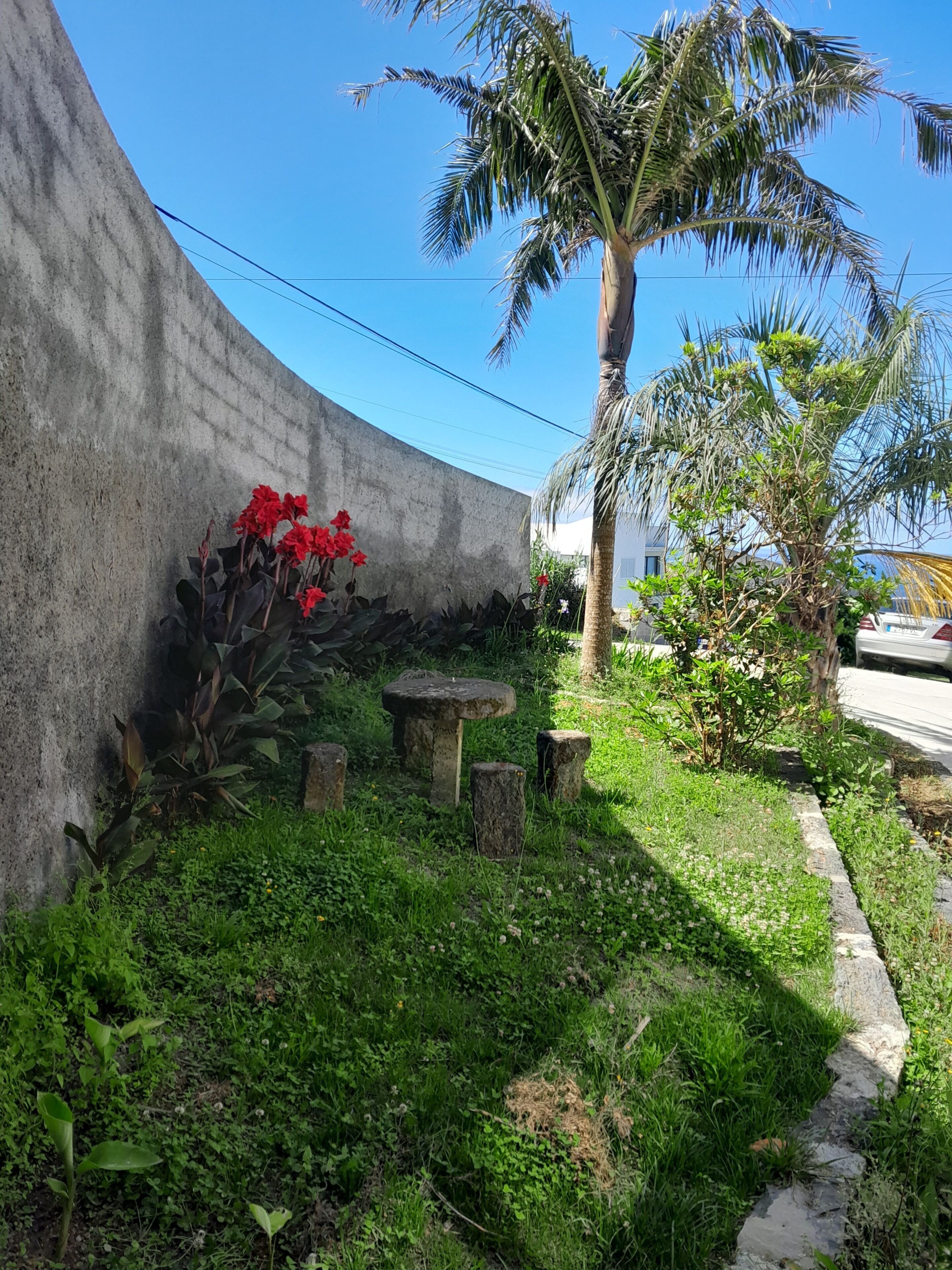 Un mur en béton, un palmier et un petit espace jardin agrémenté de fleurs rouges et de bancs en pierre.