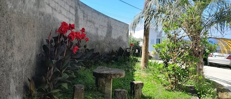 Un mur en béton, un palmier et un petit espace jardin agrémenté de fleurs rouges et de bancs en pierre.