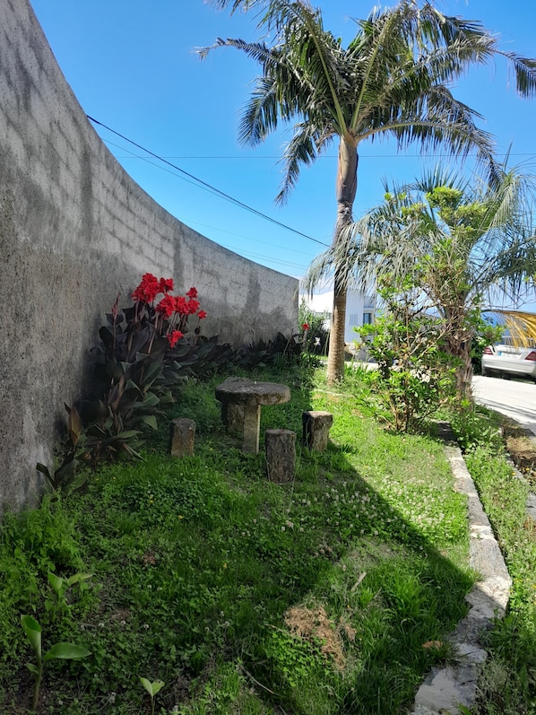 A concrete wall, a palm tree, and a small garden area with red flowers and stone stools.
