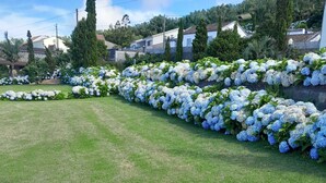 Un césped cuidado con una hilera de arbustos de hortensia.