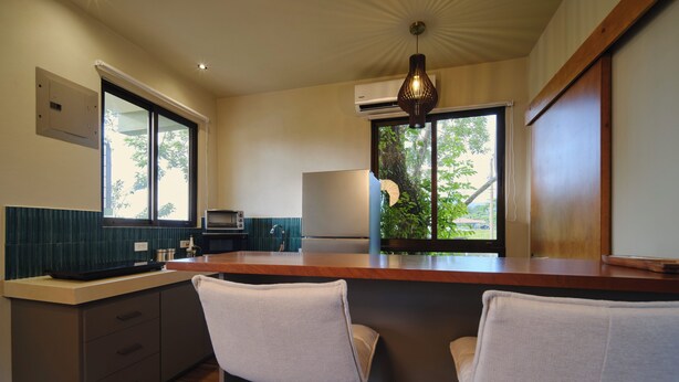 A modern kitchen with a bar area, built-in appliances, and a view of greenery outside. - Narin Retreat (Zeta trece)