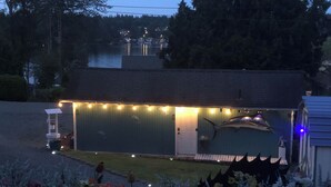 Un cobertizo pequeño con una puerta y un ventanal, rodeado de un jardín con diversas plantas y flores.