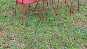 Ein roter Metalltisch und zwei Stühle in einer grünen Umgebung mit Bäumen im Hintergrund.