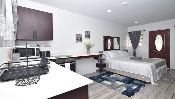 A compact hotel room with a kitchenette, a bed, a bedside table, a mirror, and a door with a window. - Cozy studio apartment in beautiful Monchy with AC and king bed for your comfort. (Monchy)