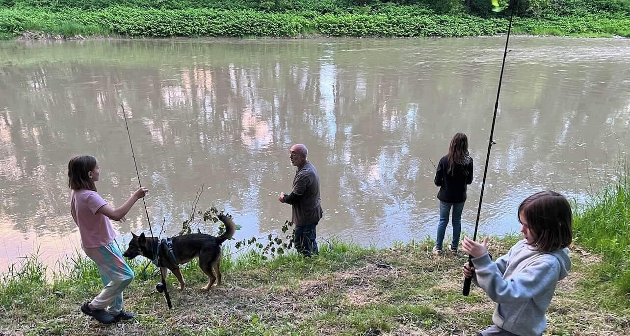 Pet-friendly