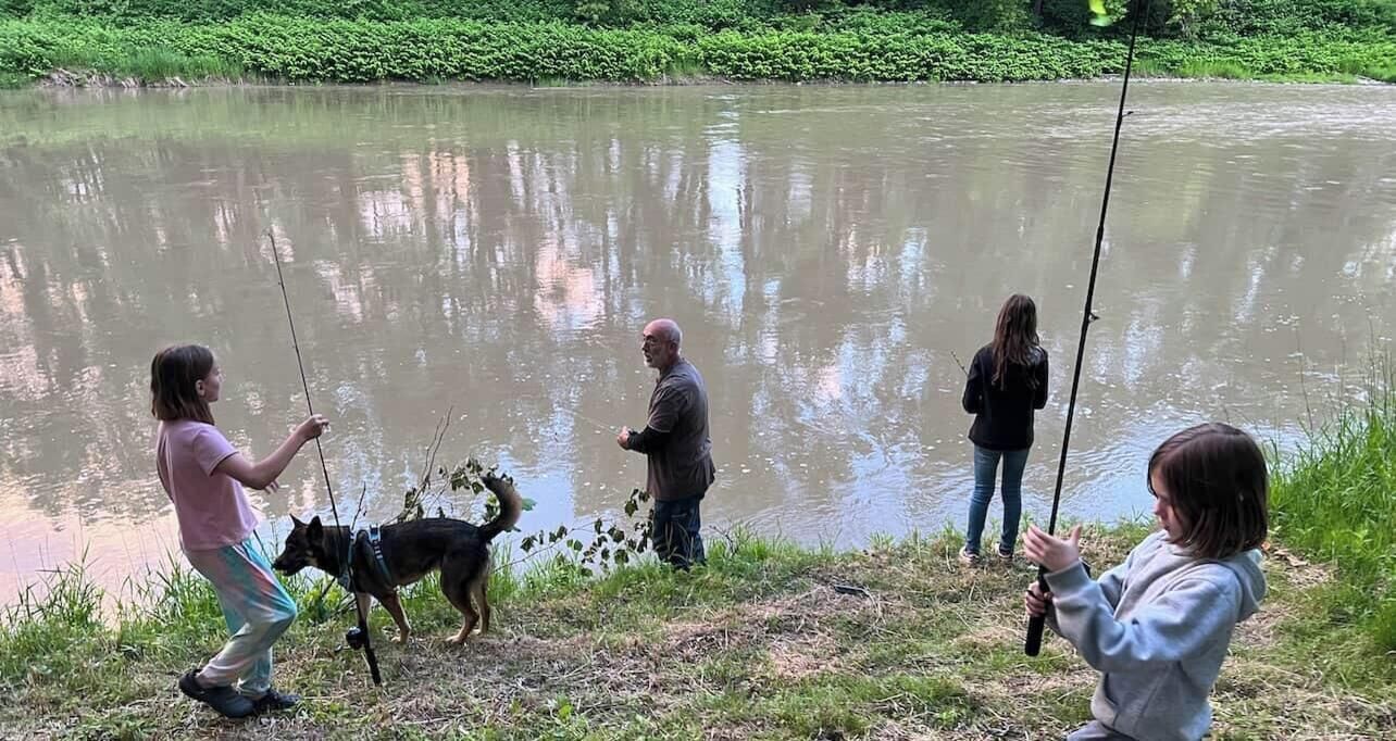 Pet-friendly