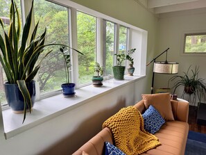 Ein Zimmer mit einer Couch, einem Fensterbrett mit Topfpflanzen und einer Lampe.