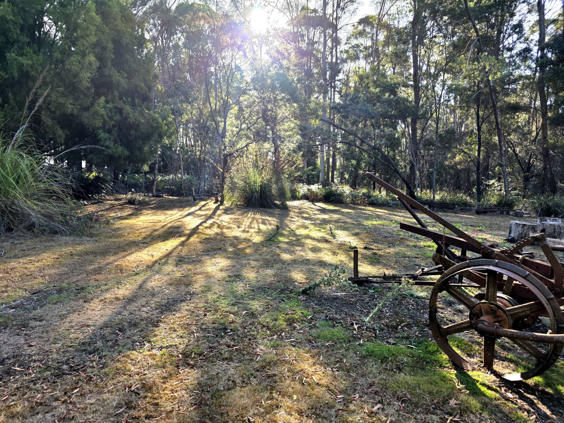A forested area with a dirt path and a large, rusty wheel structure.