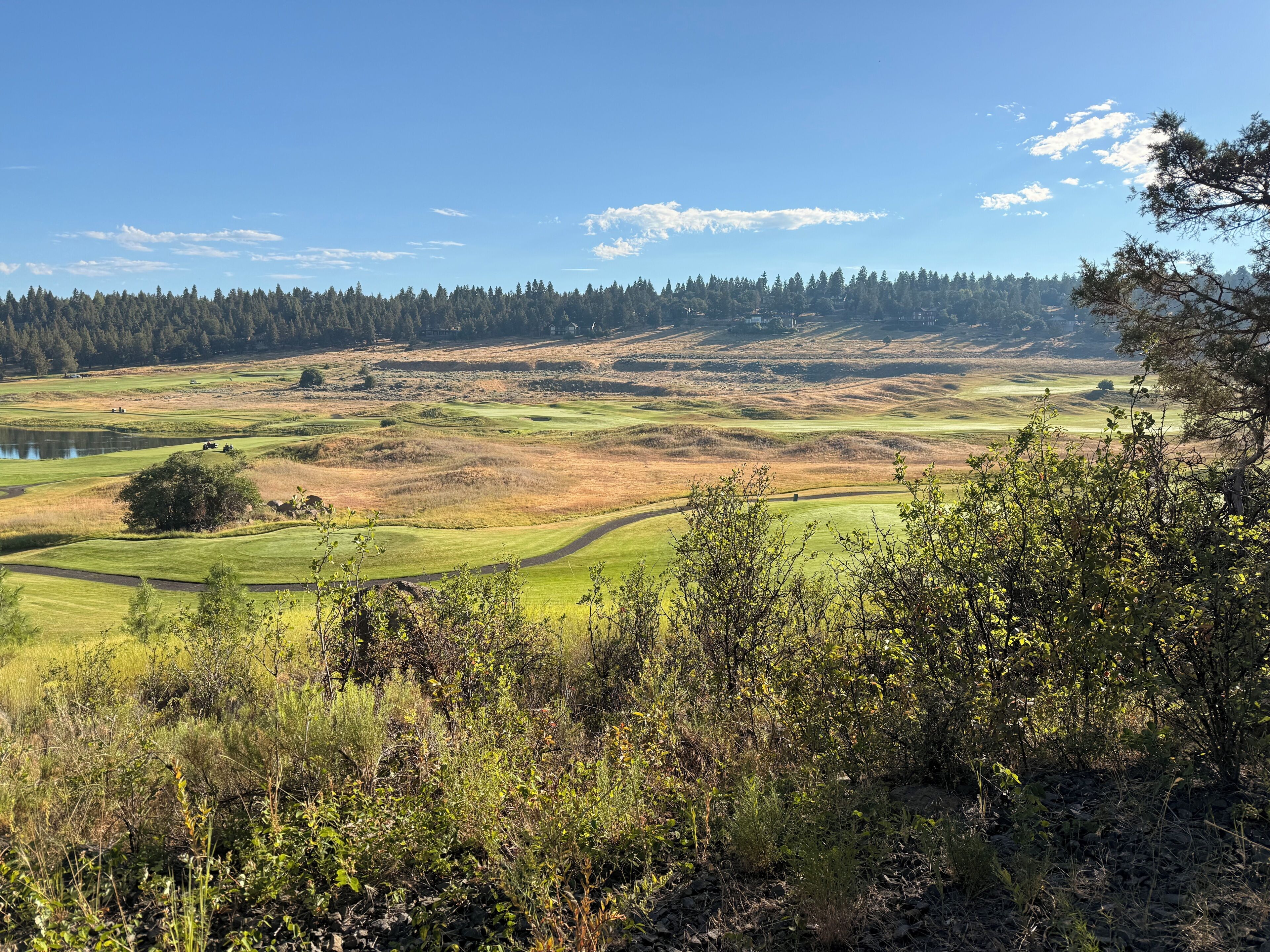 A golf course with a lake, forested area, and a clear sky.