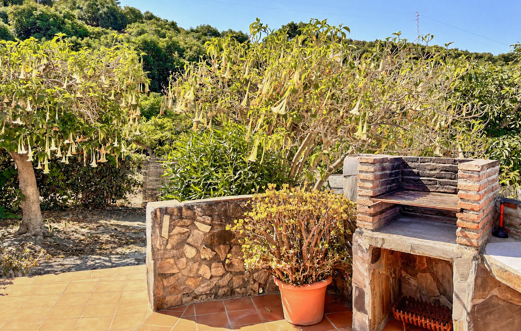 Terraço/pátio