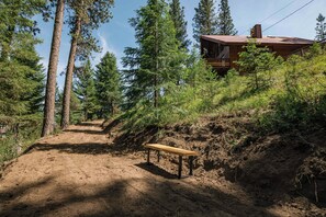 Ein schmaler Feldweg führt zu einer Holzhütte, umgeben von hoch aufragenden Kiefern.