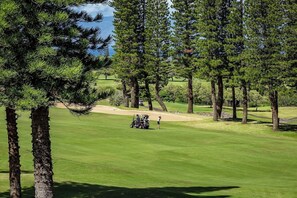Ein Golfplatz mit blauem Himmel, einem Bunkersand und einem Putting-Green.