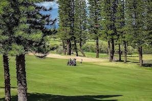 Un campo da golf con cielo sereno, una buca di sabbia e un green.