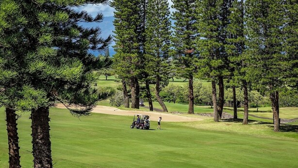 Un camp de golf amb un cel serè, un búnquer de sorra i un prat d'arrosser.