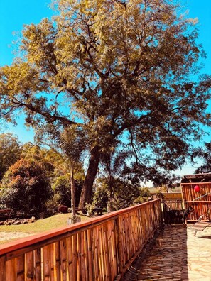 Property grounds - Retro Brotas Farmhouse: Heated pool, Starlink internet, nature and relaxation. (Brotas)