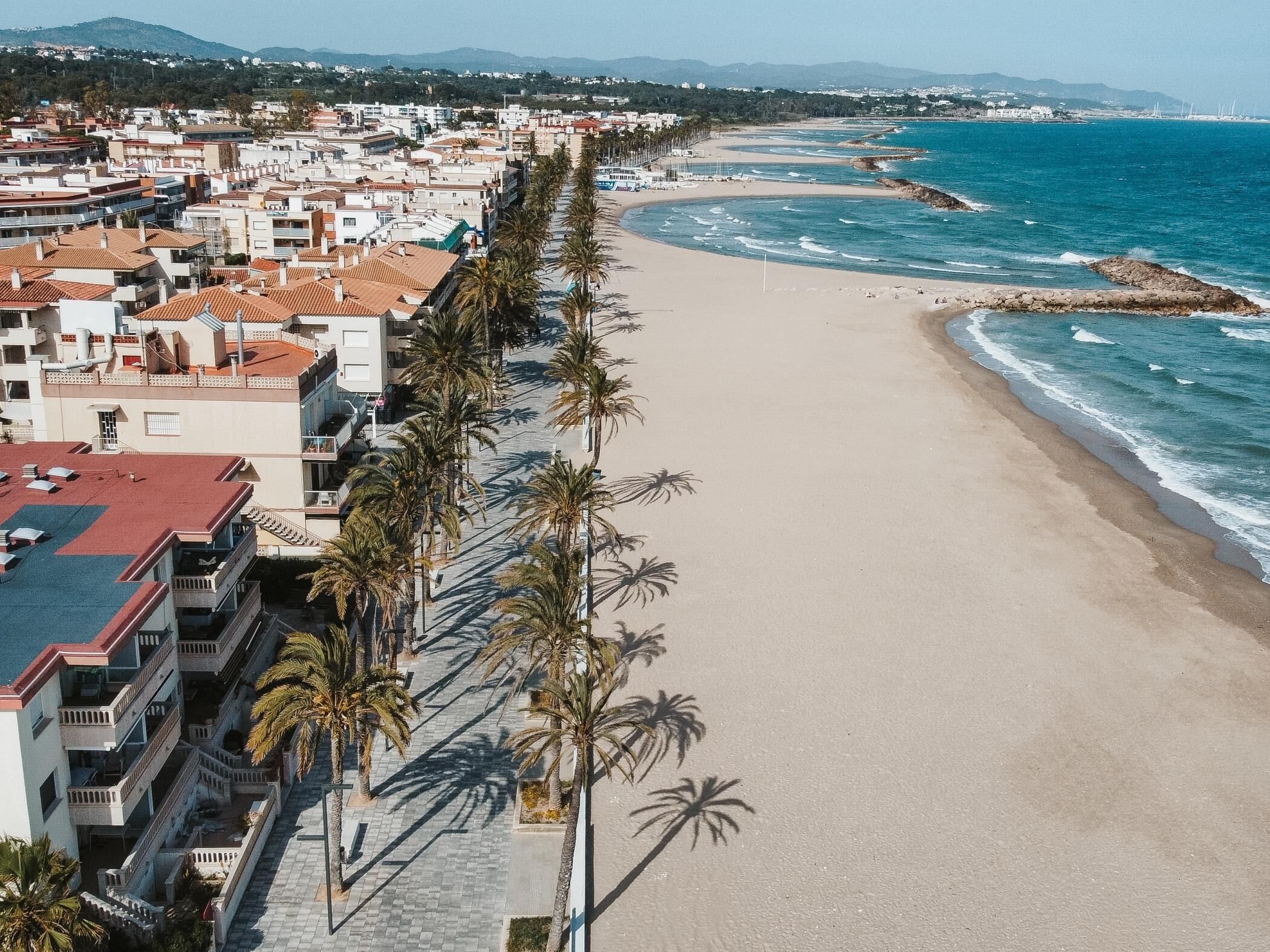 Un paysage urbain côtier avec une promenade en bord de mer bordée de palmiers et une rangée d’immeubles dotés de balcons.