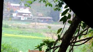 Maalaishenkinen puinen tuoli ja pöytä, taustanaan vehreä niitty, näkymä ikkunasta, jonka kehys on koristeltu.