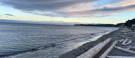 En strand med ett lugnt hav, drivved längs strandkanten och en skogbeklädd kulle i bakgrunden.
