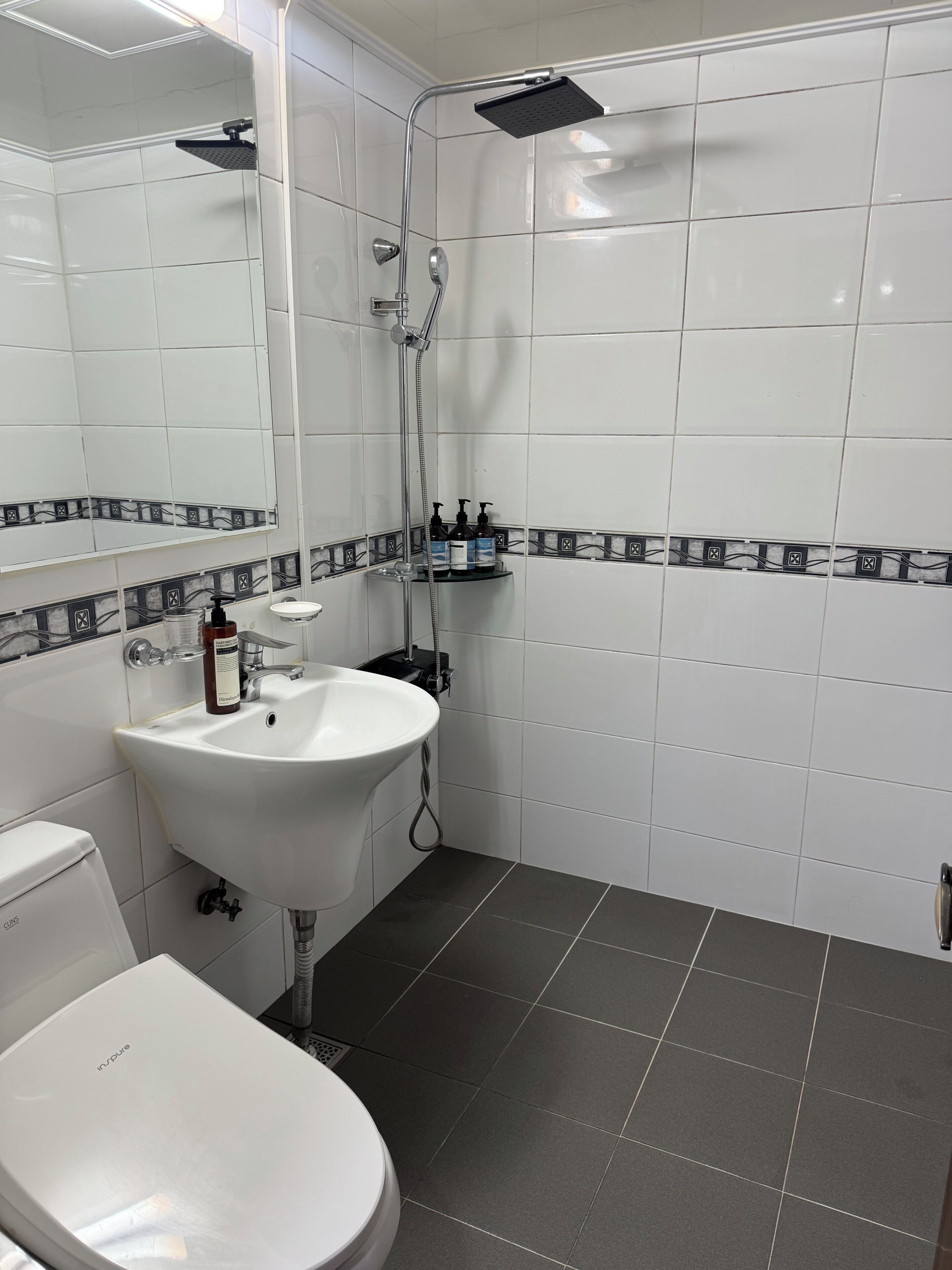 A bathroom with a white sink, a toilet, a shower with a handheld showerhead, and a mirror.