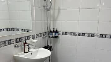 A bathroom with a white sink, a toilet, a shower with a handheld showerhead, and a mirror.