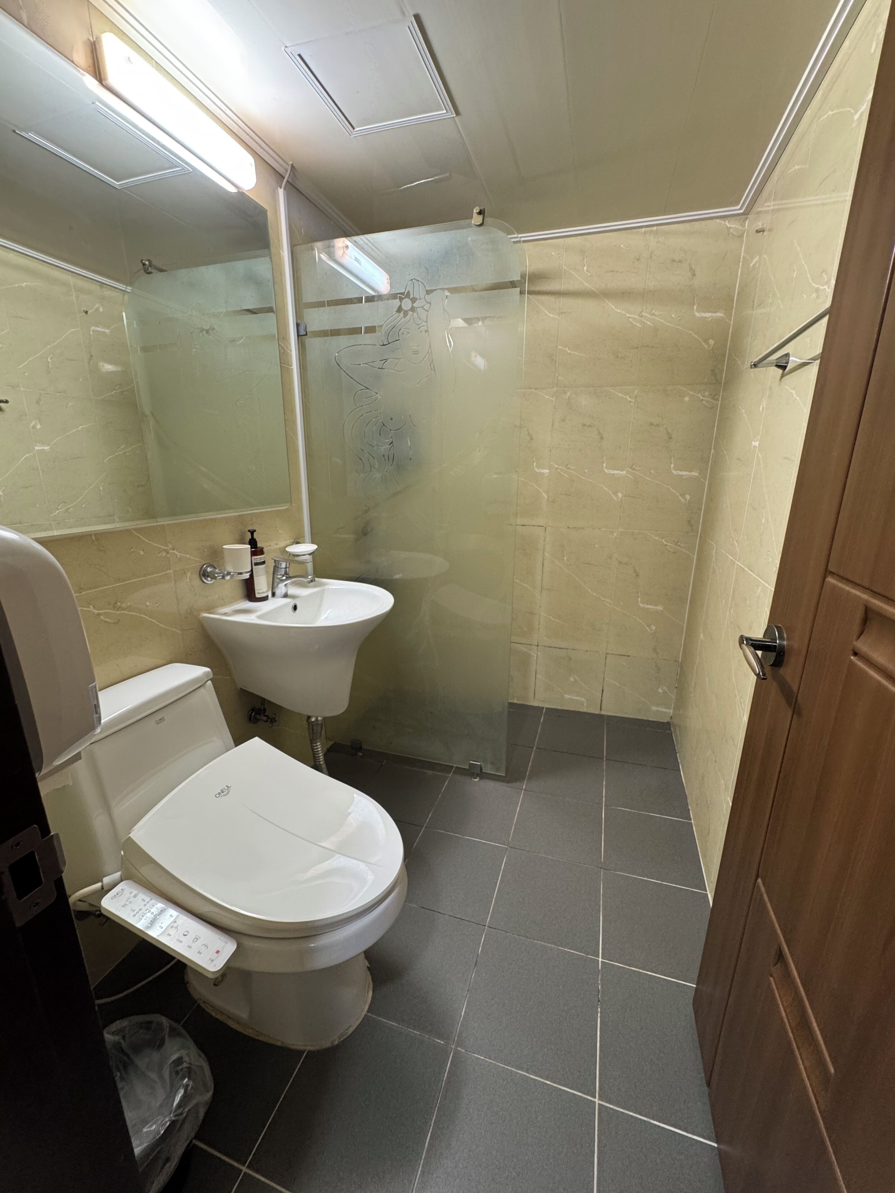 Ein Badezimmer mit Toilette, Waschbecken und Dusche.