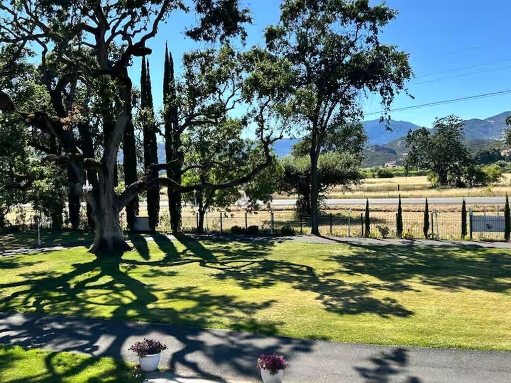A tree-lined pathway with a grassy area and a fence.