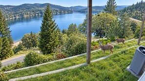 Blick auf einen See mit zwei Hirschen auf einer Wiese, umgeben von Bäumen und einer Straße.