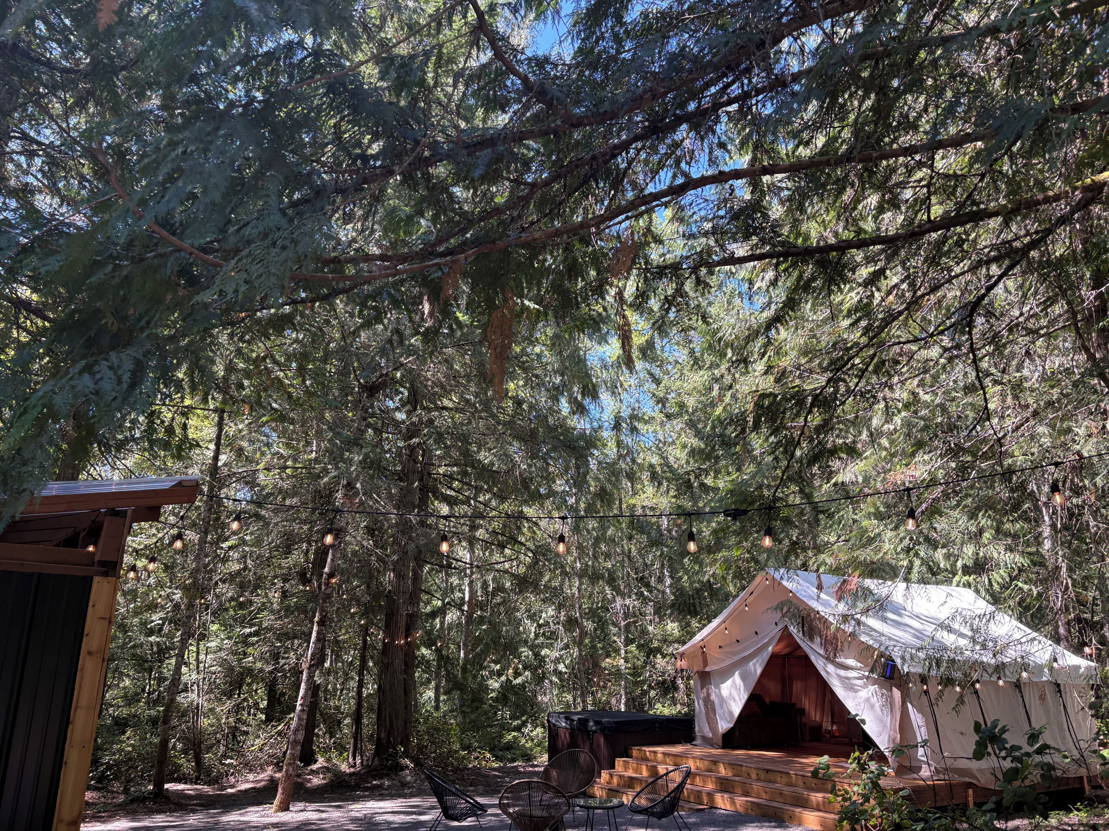 Un terrain de camping boisé, avec une tente et une petite construction en bois.