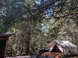 Un camping arbolado con una tienda de campaña y una pequeña construcción de madera.