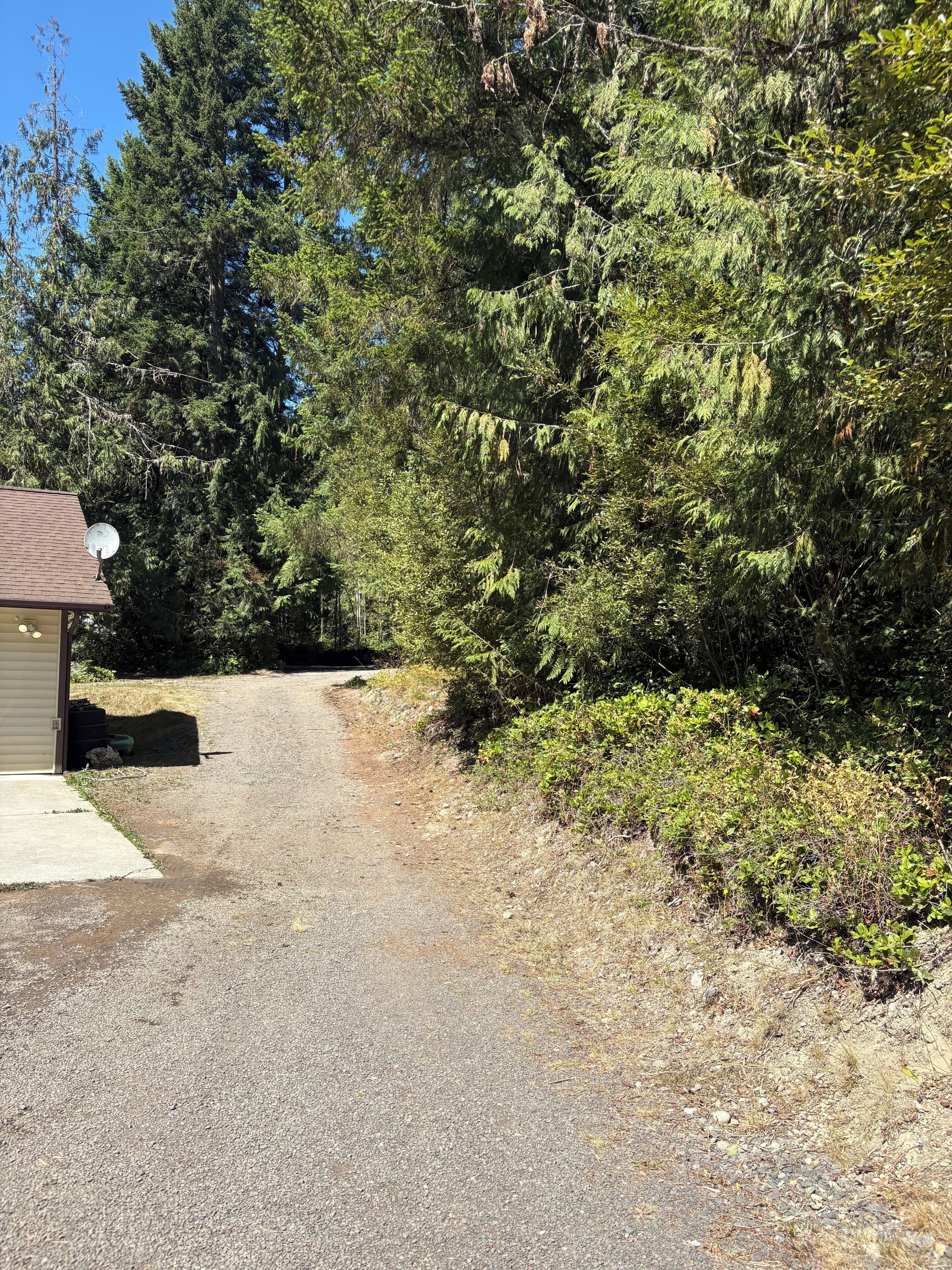 A gravel driveway leading to a small building with a satellite dish, surrounded by dense forest.