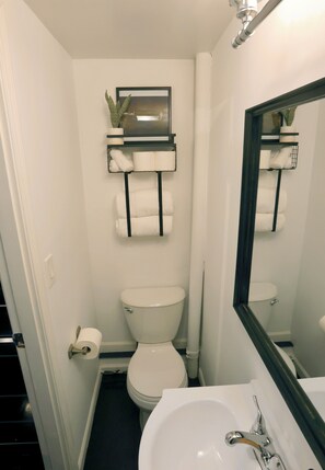 A compact bathroom with a toilet, a sink, and a mirror. There is a towel rack with folded towels and a potted plant on a shelf above the toilet. - Welcoming 1-bedroom studio in Anchorage perfect for your getaway (Anchorage)