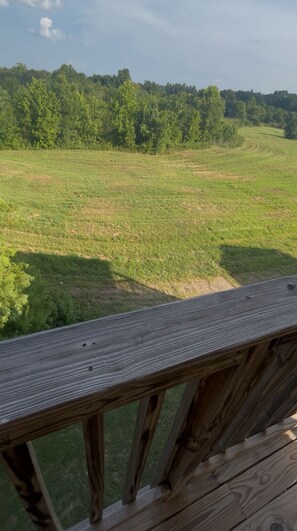 Property grounds - Charming waterfront  3bed, 3bath house minutes from Mississippi State University (Starkville)