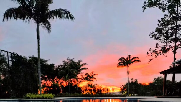 Ein Swimmingpool mit Sonnenuntergangsblick, umgeben von Palmen und einer Laube.