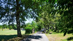 A paved pathway flanked by trees, leading to a building with a stone entrance. - Amazing home in Badia Tedalda (Badia Tedalda)