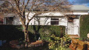 A residential house with a white exterior, a tree in the front yard, and a well-maintained garden with various plants and a wooden fence. - The Garden Flat - Charming Studio (Orange)