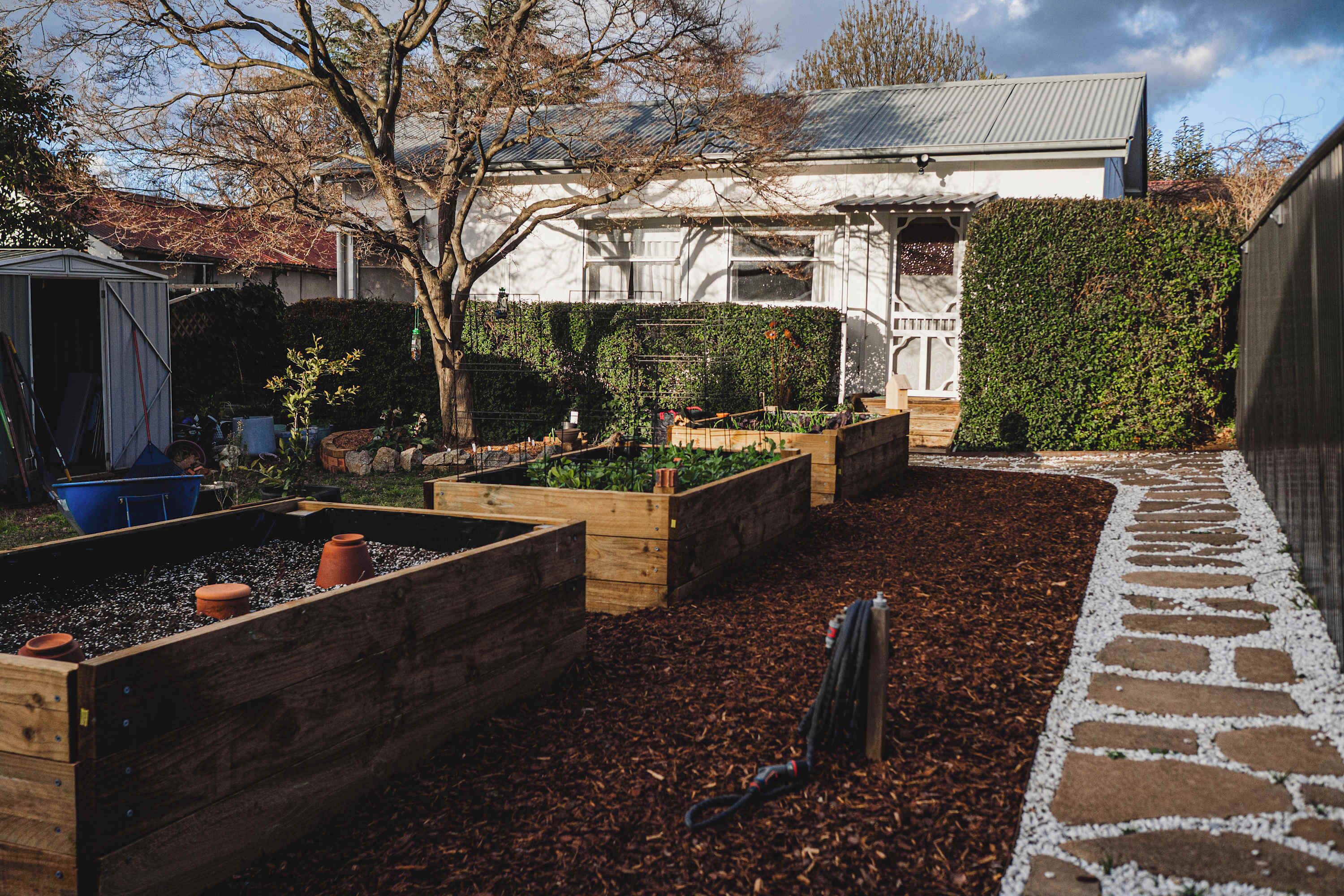 A garden with raised beds, a stone pathway, and a house in the background.