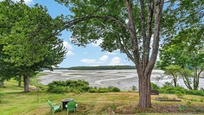 Vista de un lago con un árbol grande, un espacio cubierto de césped y un banco.