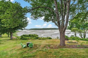 A lakeside view with a large tree, a grassy area, and a bench.