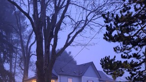 A house with a porch, a staircase, and a yard. - Bluish Cabin (Bucoda)