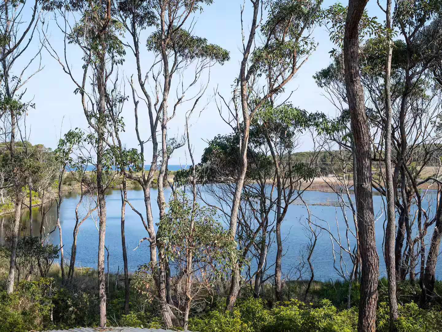 Un paesaggio naturale con alberi e un corpo d'acqua.