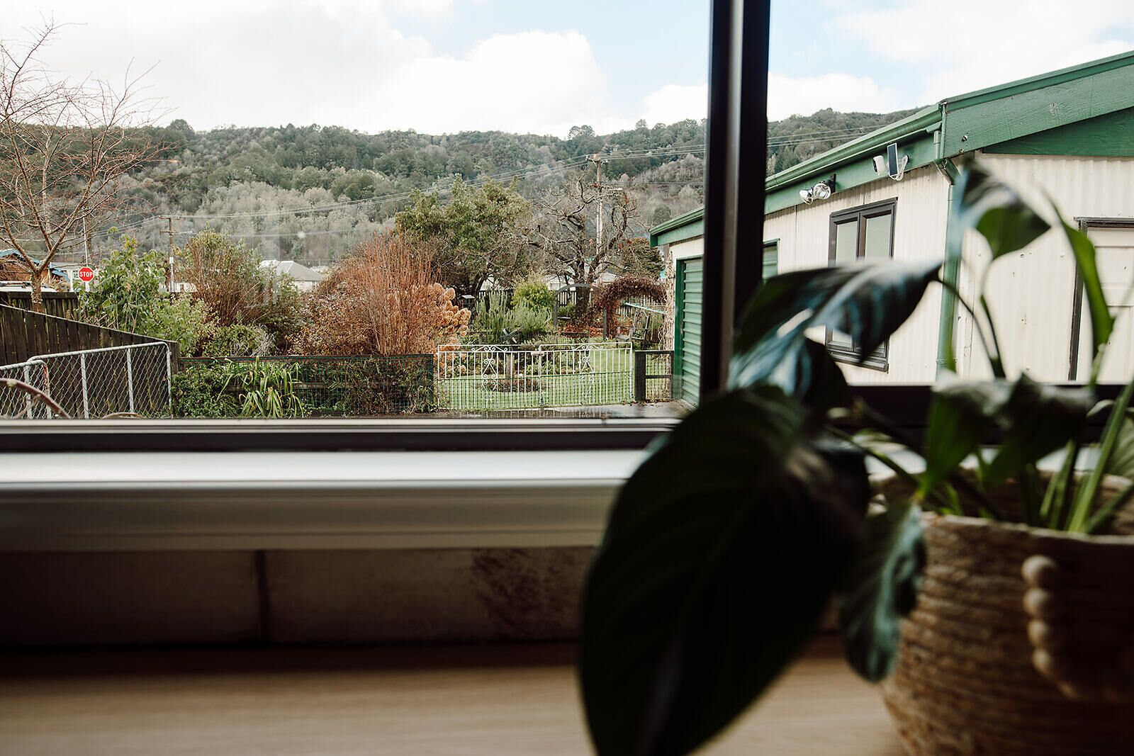 A view through a window with a plant on the sill, a metal fence, and a building with a green roof in the background.