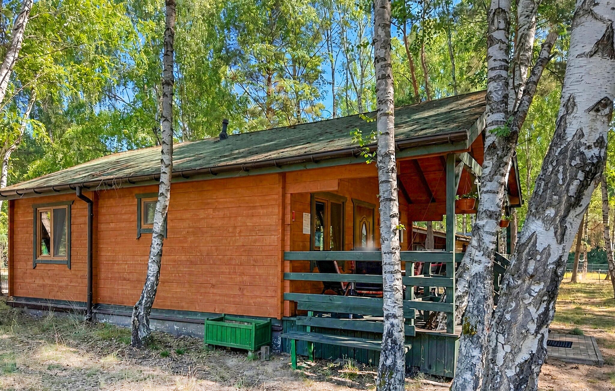 Eksteriør