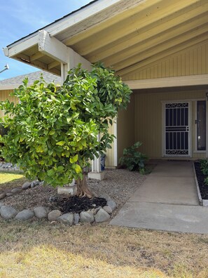 A residential building with a covered porch, a tree in the front yard, and a gated entrance. - 3-bedroom House w/private pool - Family & Pet Friendly (Sacramento)